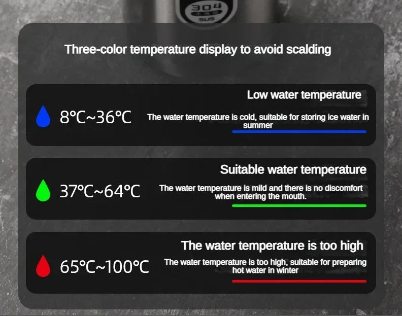 LED Temperature Stainless Steel Thermos