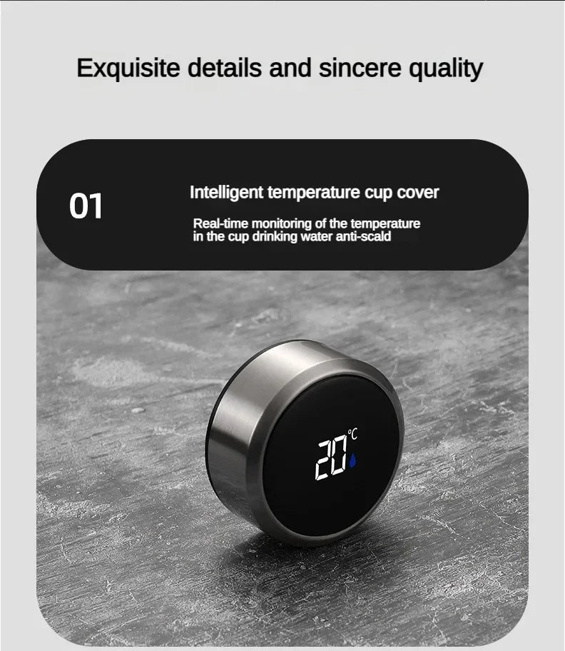 LED Temperature Stainless Steel Thermos
