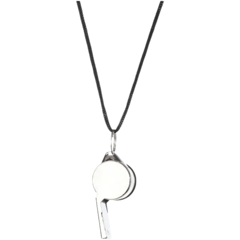 2-Pack Stainless Steel Sports Whistles with Lanyards | clean product image | shopify:5 | bg-removed:store:800:shopify:5
